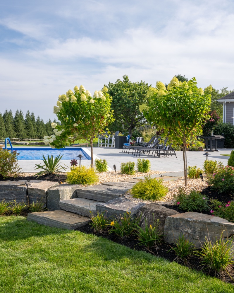 Upscale Backyard Upgrade main-img